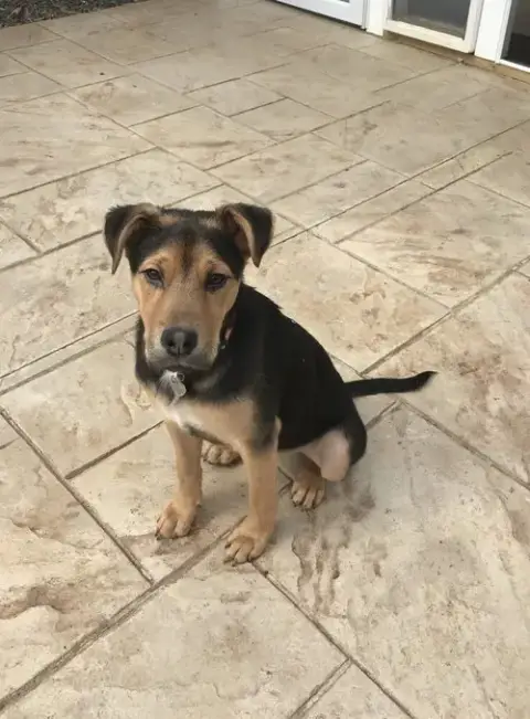 Eddie