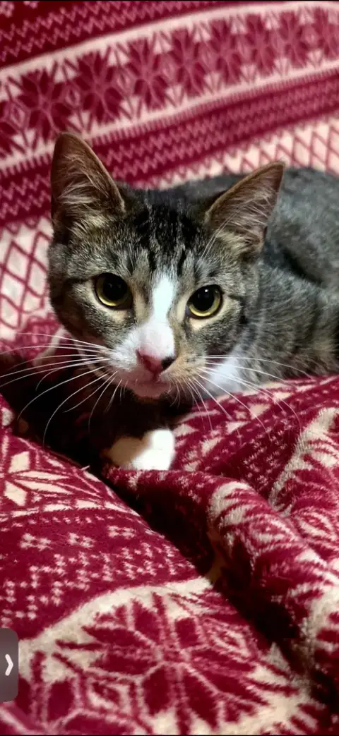 Petey