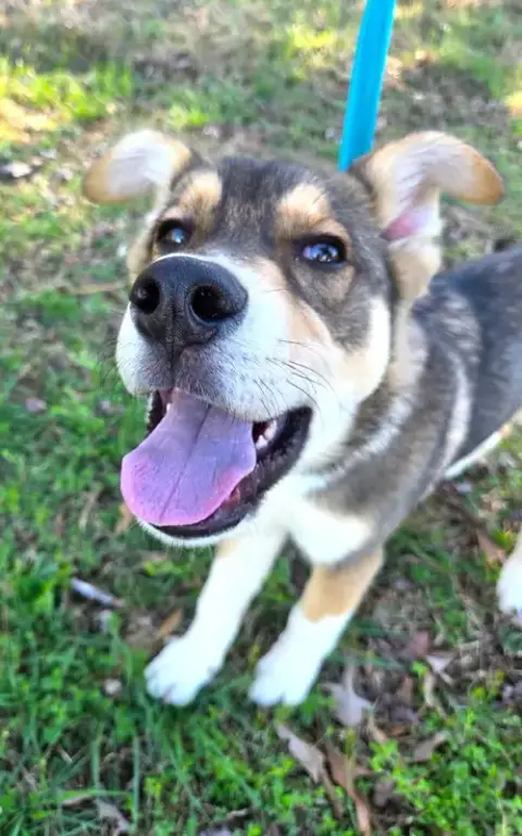 Cody photo 5