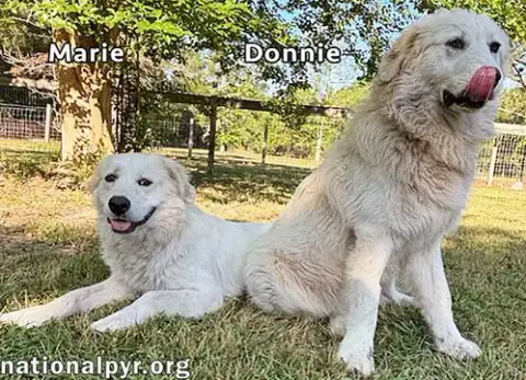 Donnie & Marie In Ga photo 3