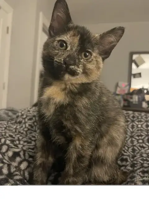 Freya photo 2