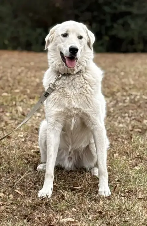 Doug photo 3
