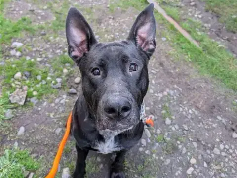 Walter