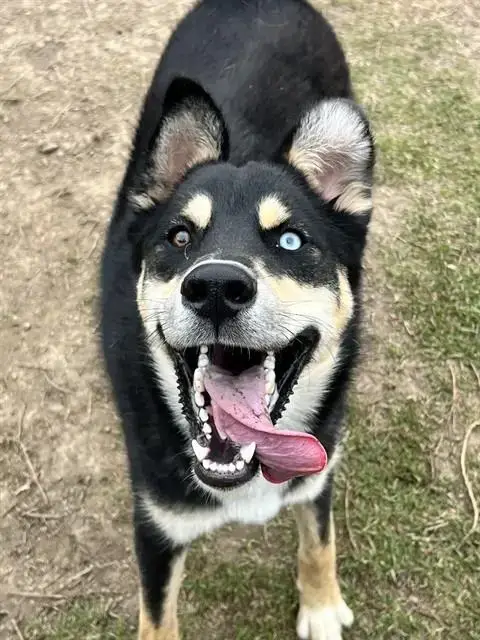 Bubs