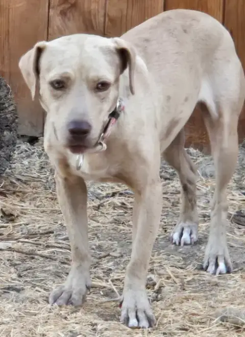 Sadie photo 2
