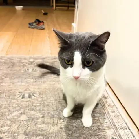 Oscar photo 4