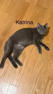 Katrina photo 3