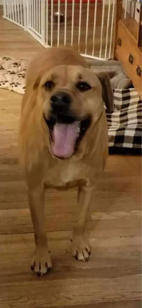 Odin photo 2
