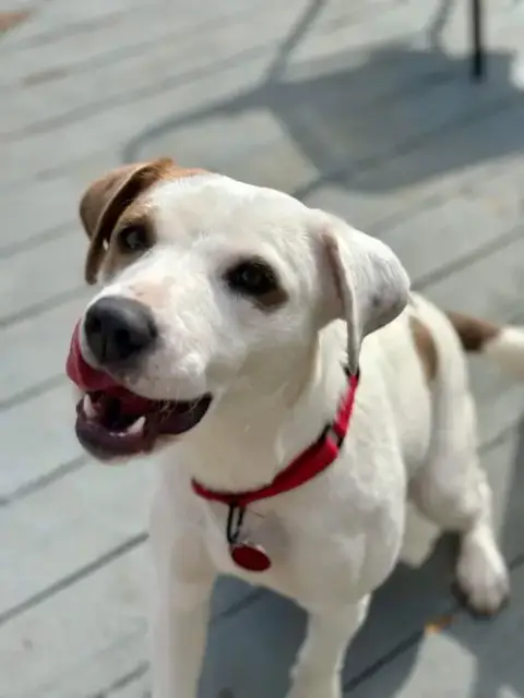 Luna