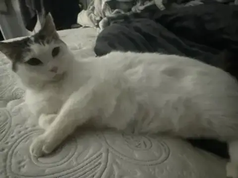Leia photo 3