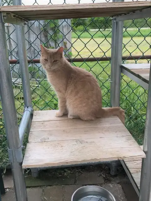 Butters photo 3