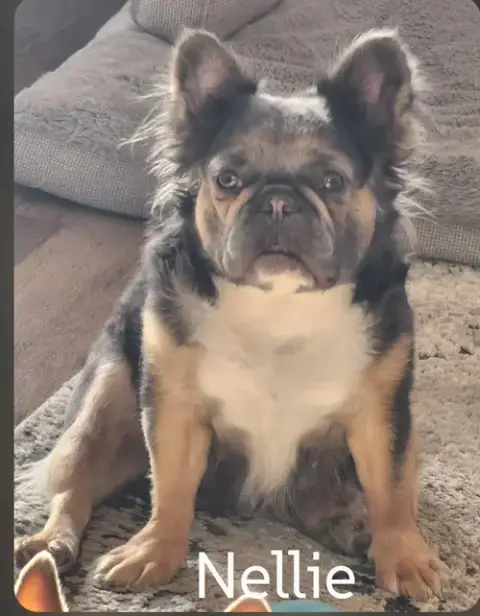 Nelly