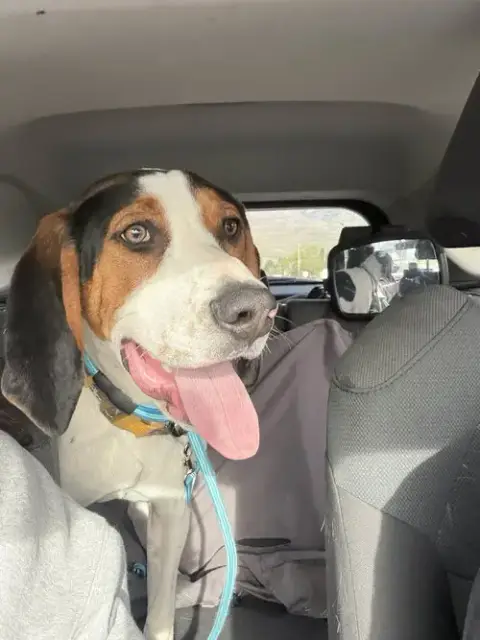 Floppy photo 4