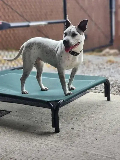 Trinity- Certified Good Girl photo 2