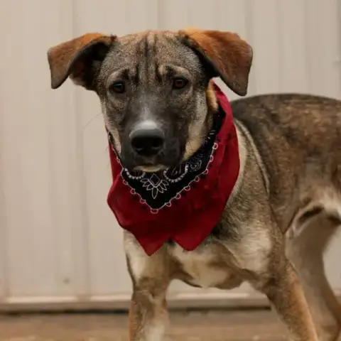 Zane photo 4