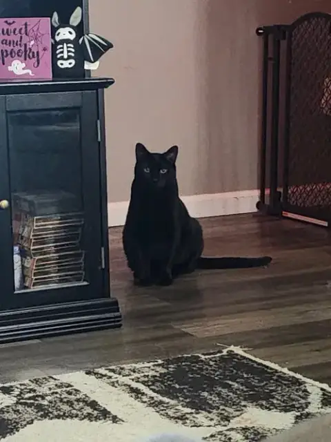 Salem