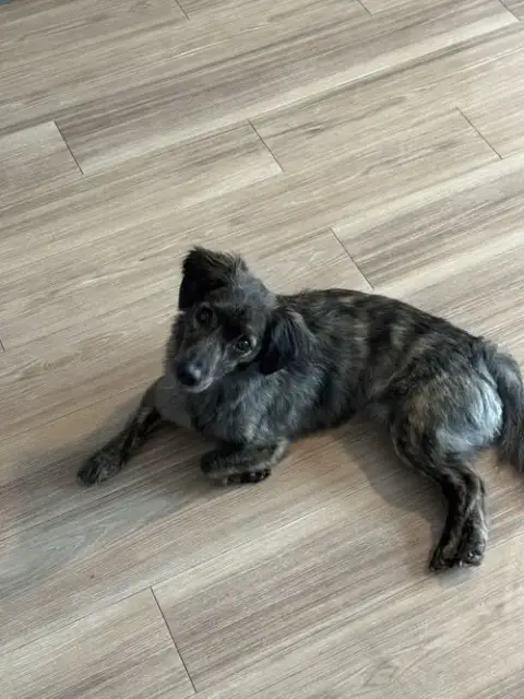 Coco photo 3