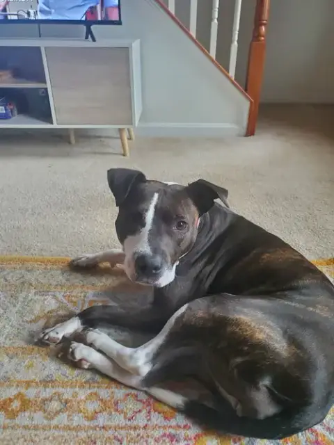 Zelda photo 2