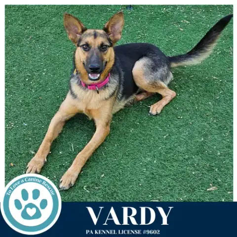 Vardy 041826 photo 2