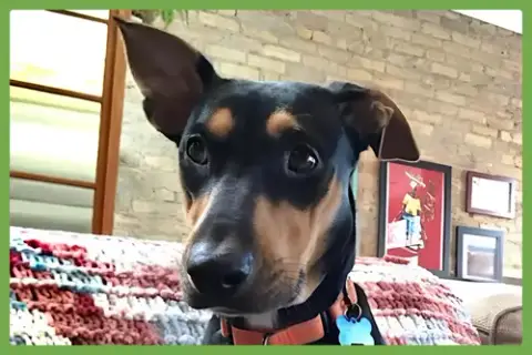 Winnie