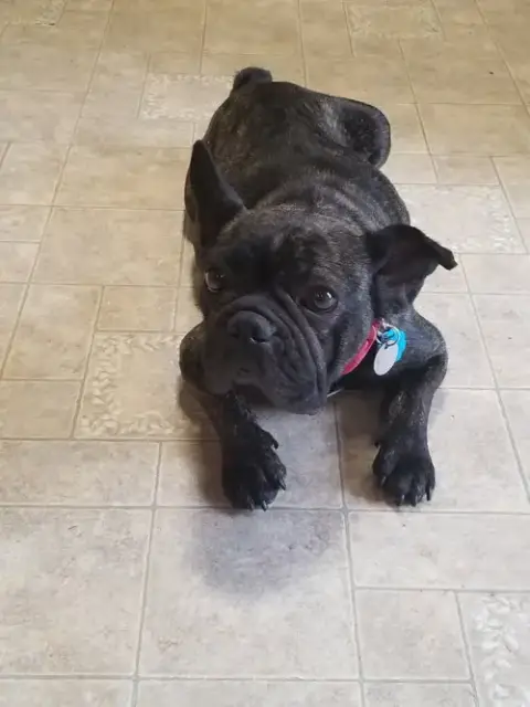 Lola photo 2