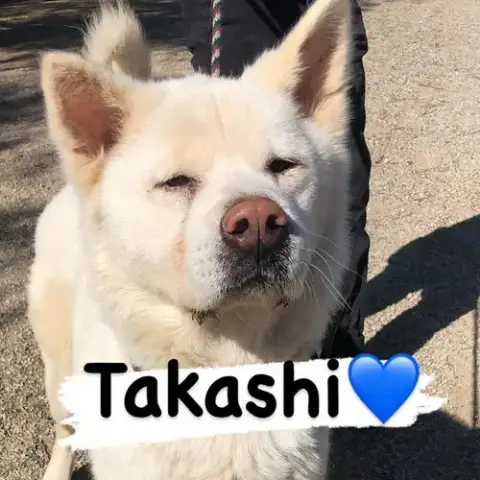 Takashi photo 3