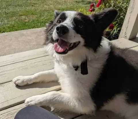 Max Of Clarence Ny photo 3