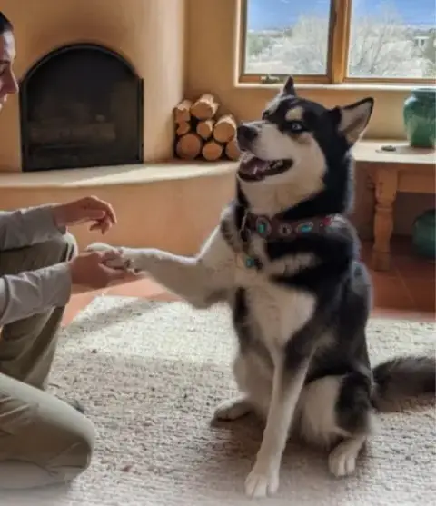 Husker Joe photo 2