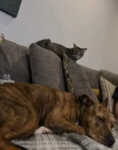 Buddy photo 3