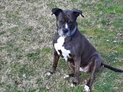 Lexi photo 2