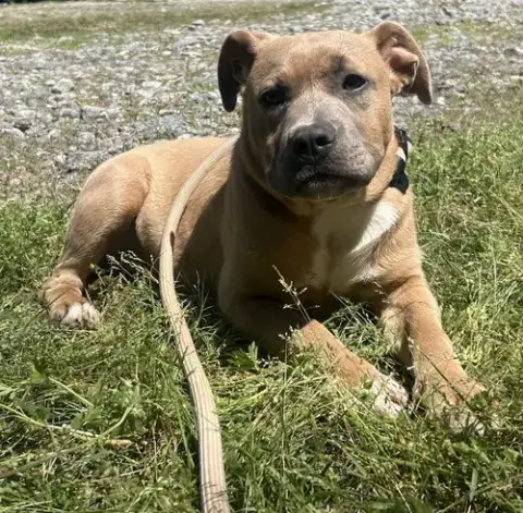 260476  Hazel