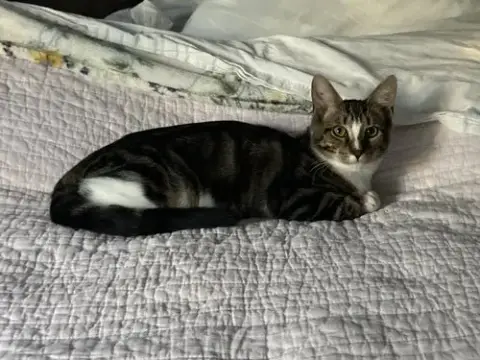 Finn photo 2