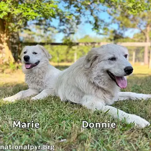 Donnie & Marie In Ga