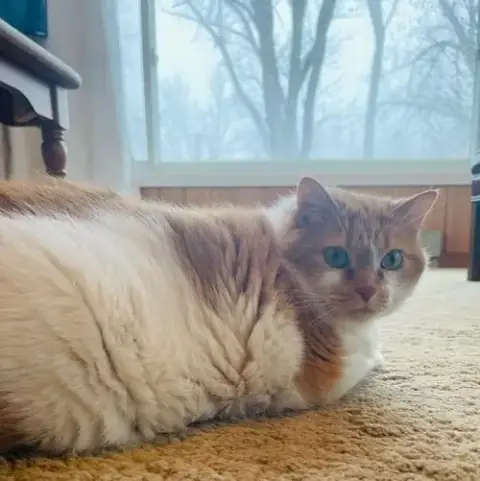 Radiant Rosie photo 2