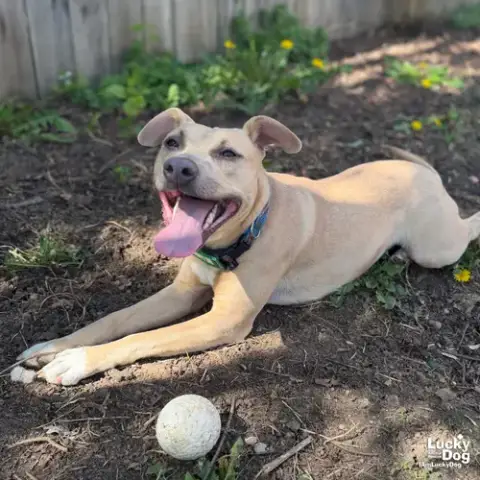 Kali photo 3