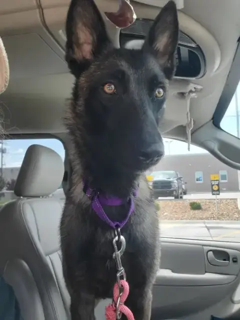 Nora