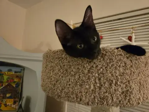 Sabine