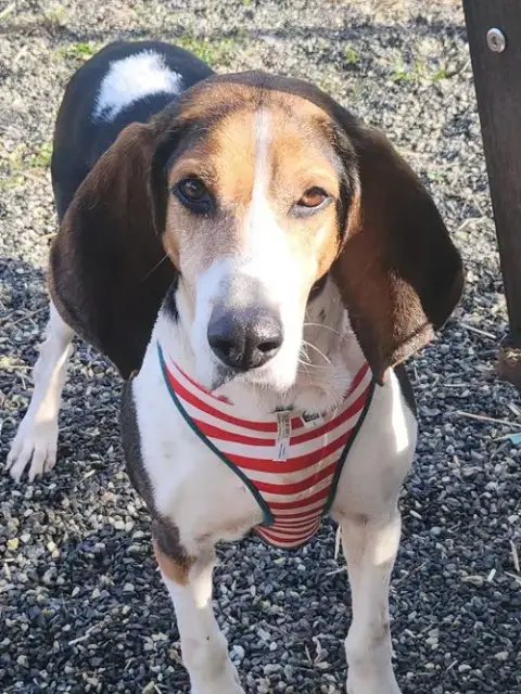 Sadie Scas photo 5