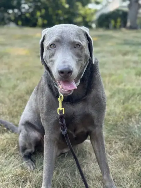 Dakota photo 2