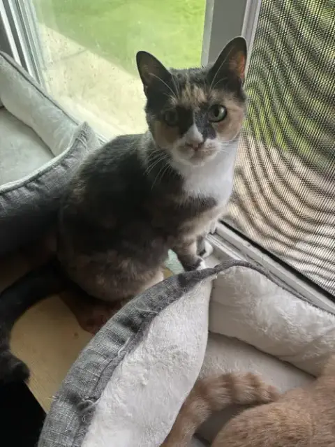 Freya photo 2