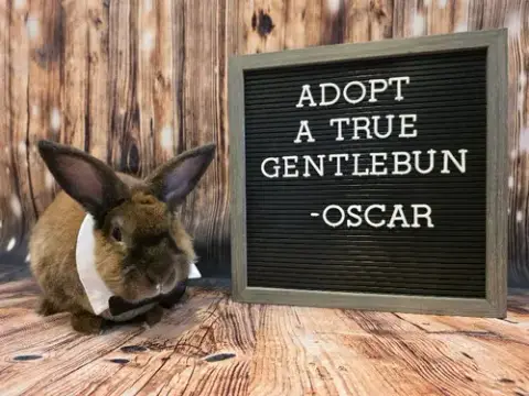 Oscar photo 2
