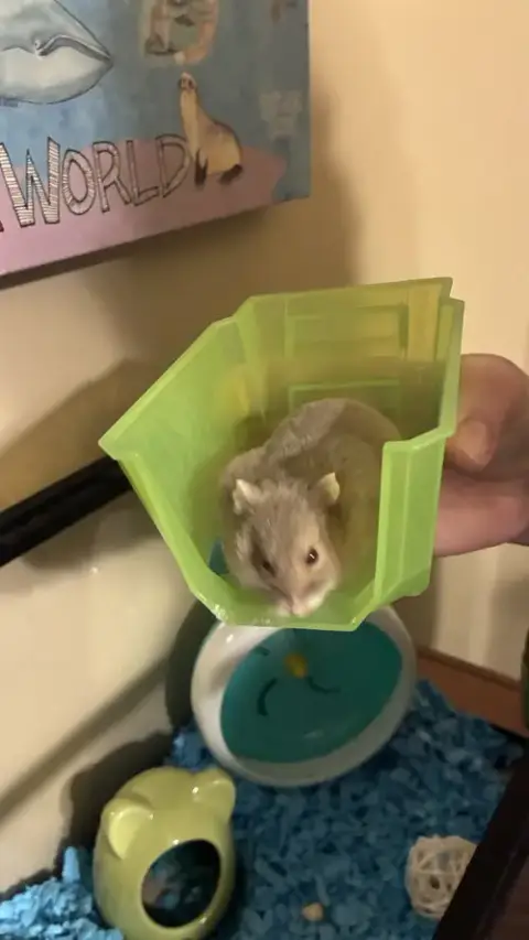 Mama