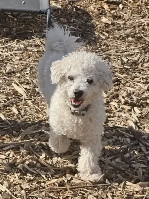 Max