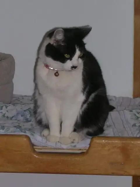 Roxie