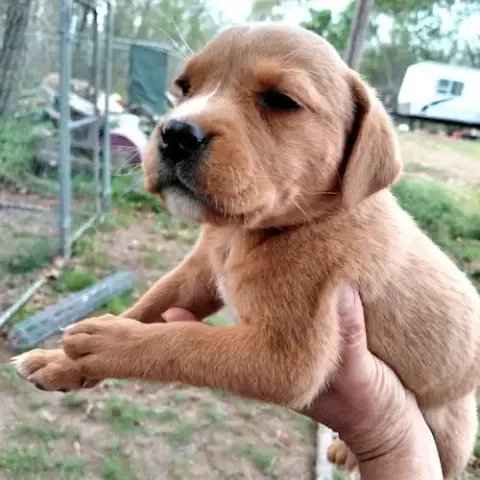 Karma photo 2
