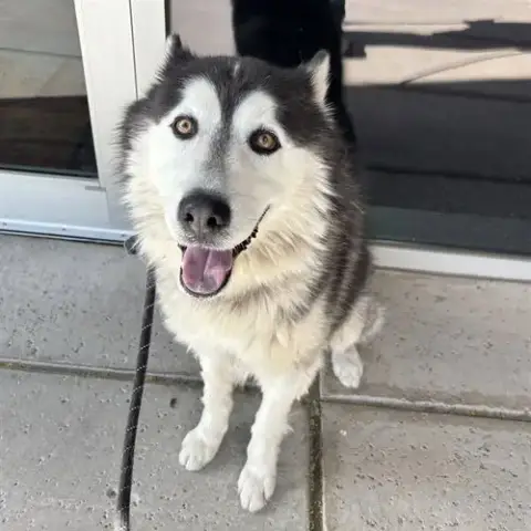 Ares