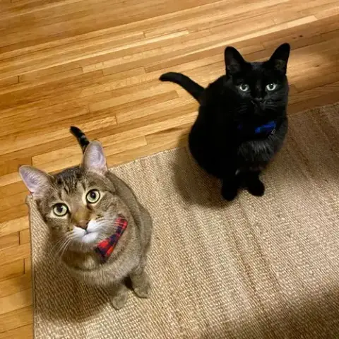 Tommy / Ghost