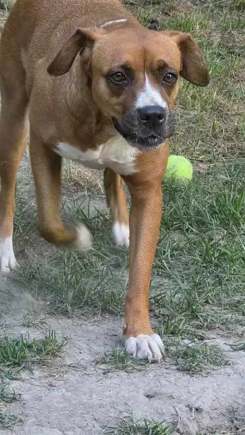 Mochie- Goofy Girl photo 3