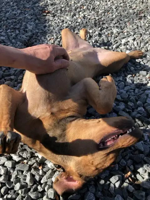 Teagan photo 4