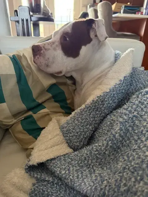 Lucy photo 4